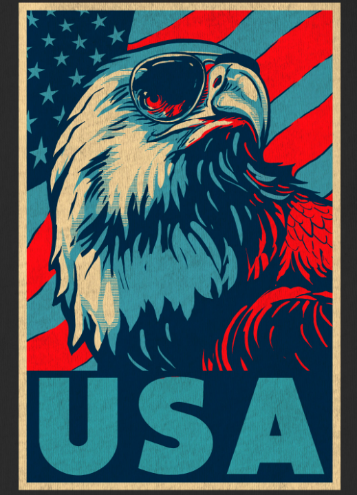 USA Eagle Women's Boxy T-Shirt | Patriotic Tee | Valhalla Wear